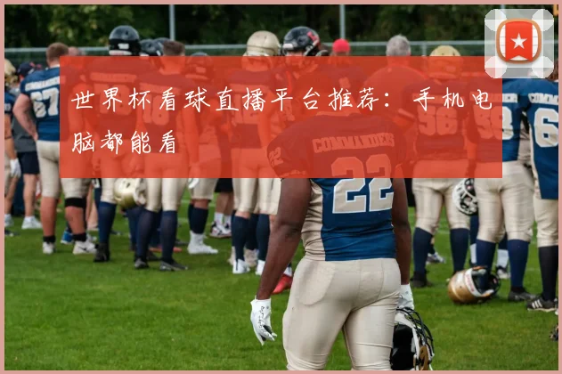 世界杯看球直播平台推荐：手机电脑都能看